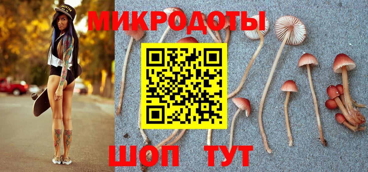 Дзержинск  Псилоцибиновые грибы мицелий  Вход с VPN  Галлюциногенные грибы Cubensis 