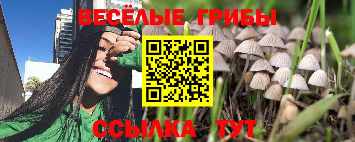 Псилоцибиновые грибы MAGIC MUSHROOMS Дзержинск