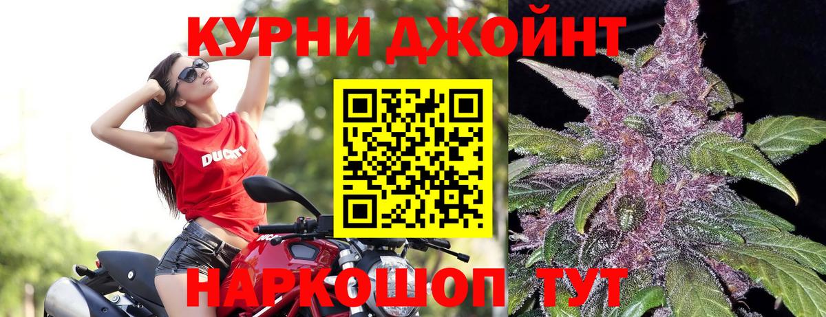 Дзержинск  Бошки марихуана OG Kush  Каннабис White Widow  Шишки марихуана THC 21%  Вход с VPN  Марихуана THC 21% 